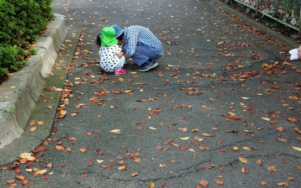 過ごしやすくなって来ましたね🍂
