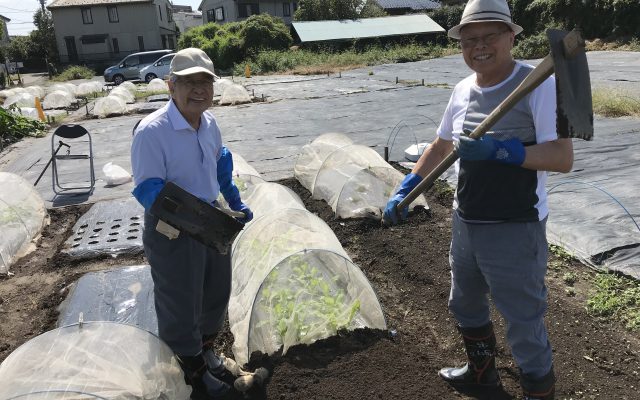 育むのは愛だけじゃない!野菜もだ!