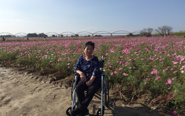 🎌大運動会Part2🎌&🌸吹上コスモス祭り🌸