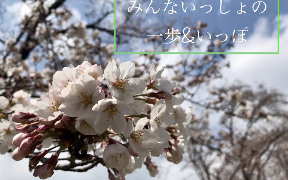 ✿.*・✿.*・入園式✿.*・✿.*・