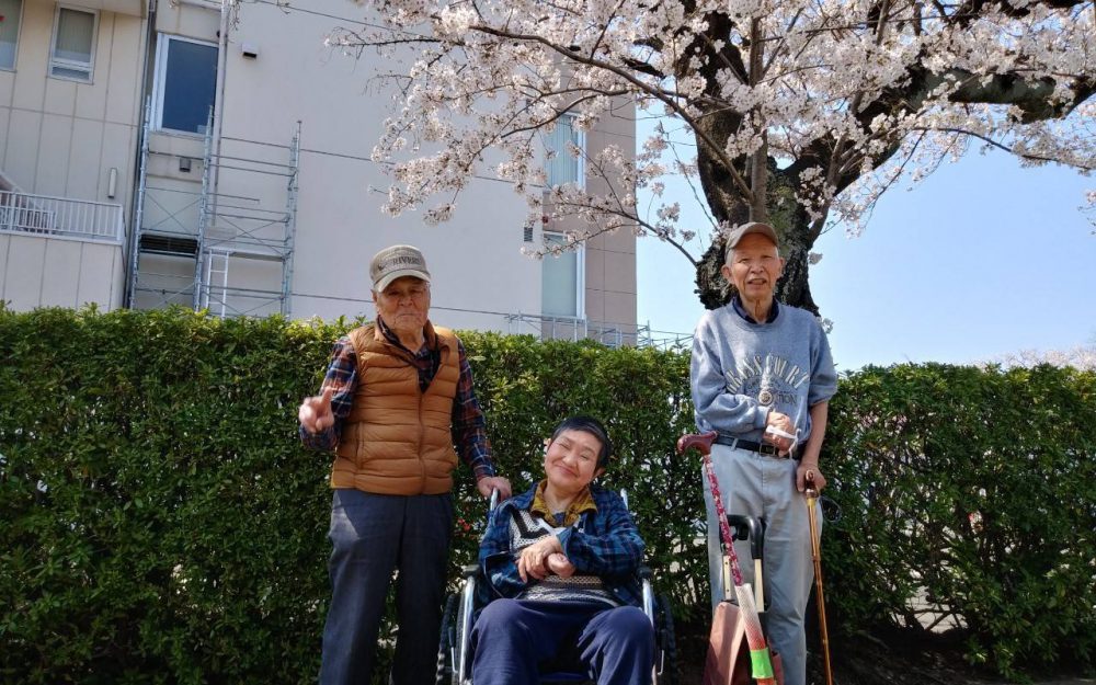 桜見週間