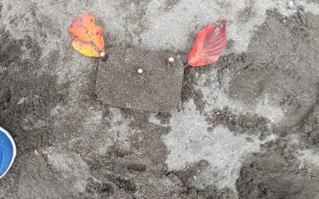 〖秋の気配を感じます🍁〗