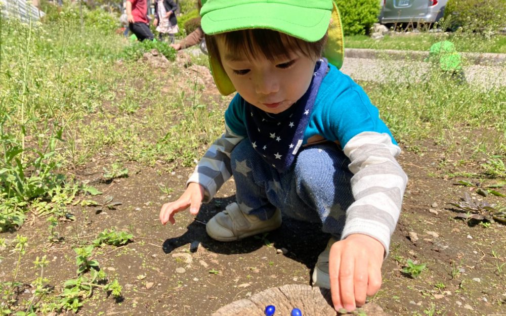 🌸新年度🌸活動開始🌸